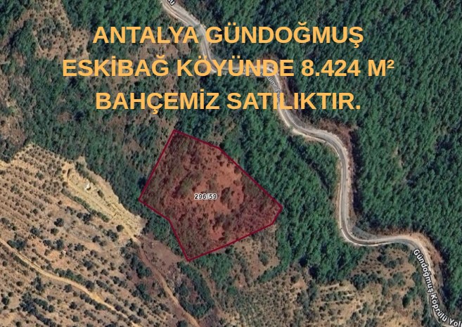 ANTALYA GÜNDOĞMUŞ ESKİBAĞ KÖYÜNDE 8.424 M² BAHÇEMİZ SATILIKTIR. - ANTALYA GÜNDOĞMUŞ fotoğraf 5